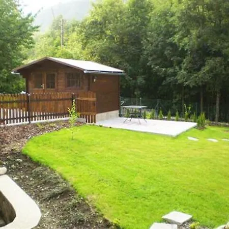 Apartament Haus Wildbach - Baranek